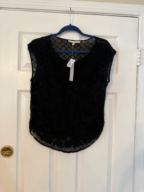 Search for Sanity Black Beaded Lace Cap Sleeve Blouse